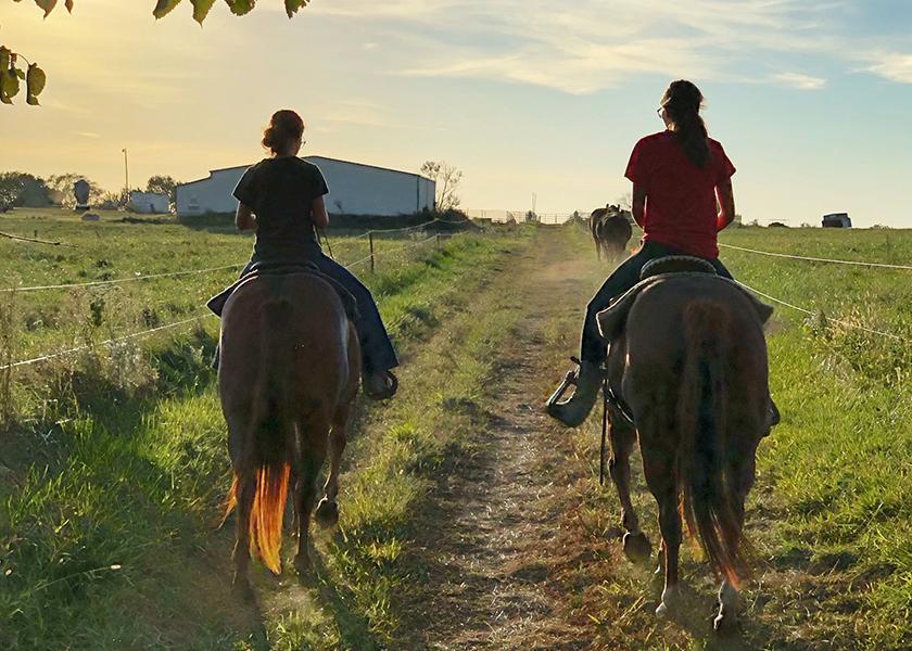 Wareham's daughters helped him gather and sort cows recently.