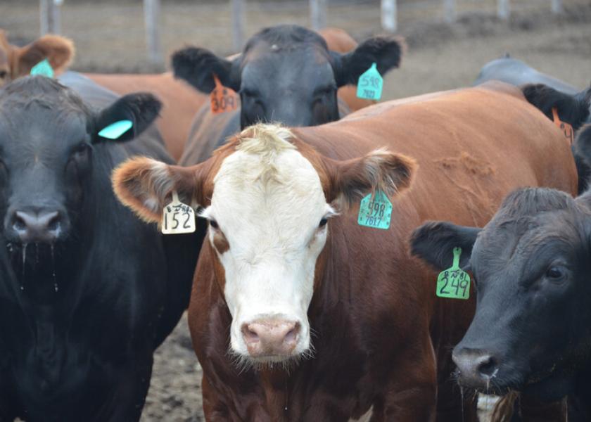 U.S. feedlots will be selected at random. 