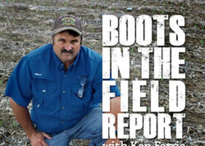Boots In The Field