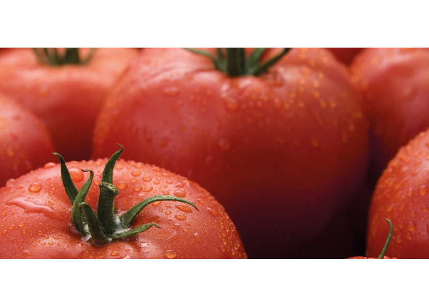 Mexican tomato output and exports will increase in 2023, a new USDA report says.