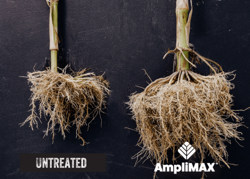 Advanced Biological Marketing Announces AmpliMax Seed Treatment