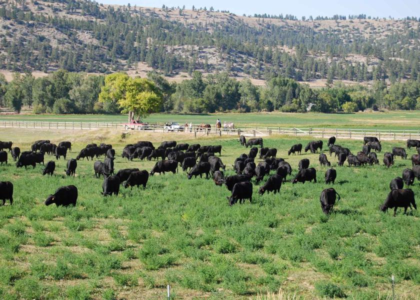 Beartooth Ranch, Montana