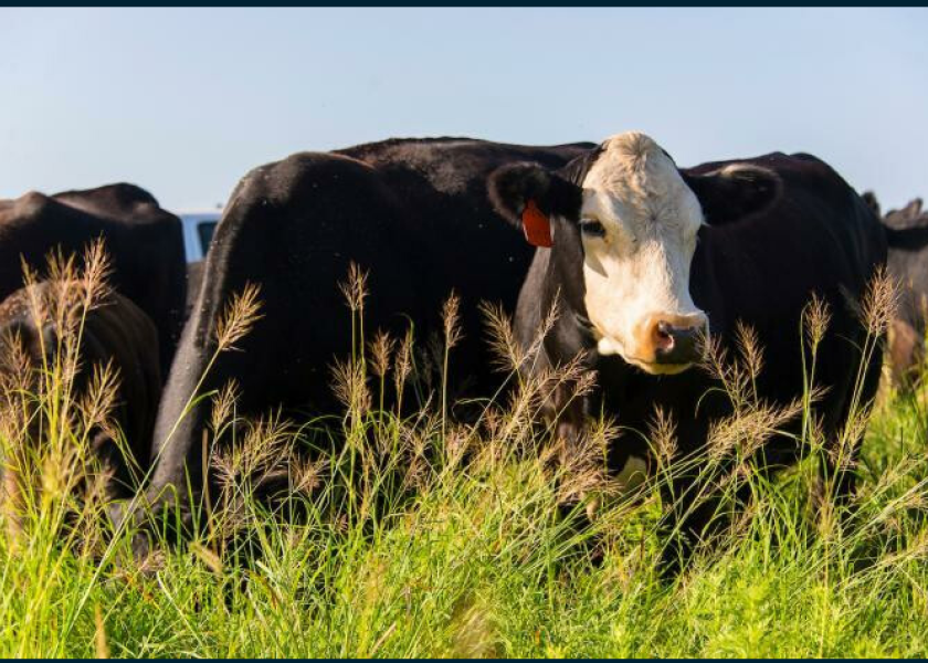 Genetic sequencing allows for the identification of the specific DNA footprint of a disease, which will allow for improved disease surveillance when illness is detected in a herd.