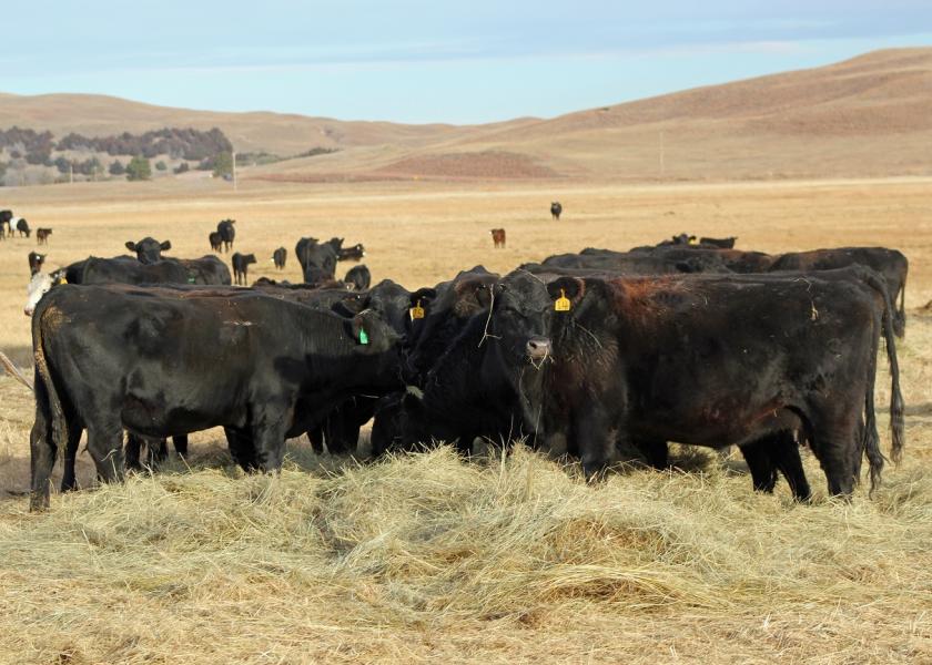 This time of year, many producers are feeding cows hay. Have you ever stopped to think about what the dollar value of the nutrients in the hay are worth as fertilizer once they have been processed by the cow?