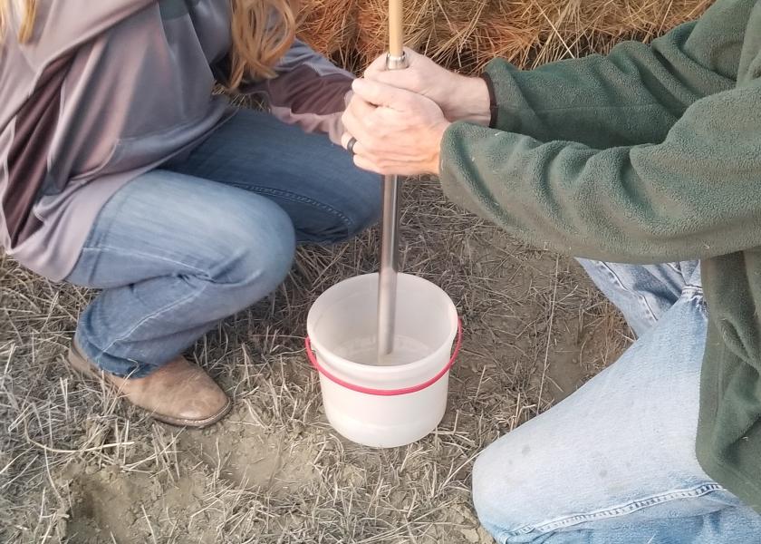 Collecting a forage sample