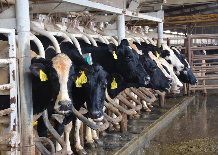 Down 0.5%, the October 2023 USDA Milk Production report did not document much change from the previous year. Following suit, milk production per cow in the 24 major states declined by 3 lbs. per cow.