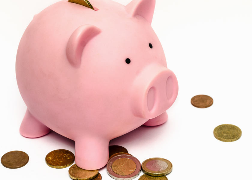 History of Piggy Banks: Why Is the Pig Considered a Symbol for Saving  Money? - Verve, A Credit Union