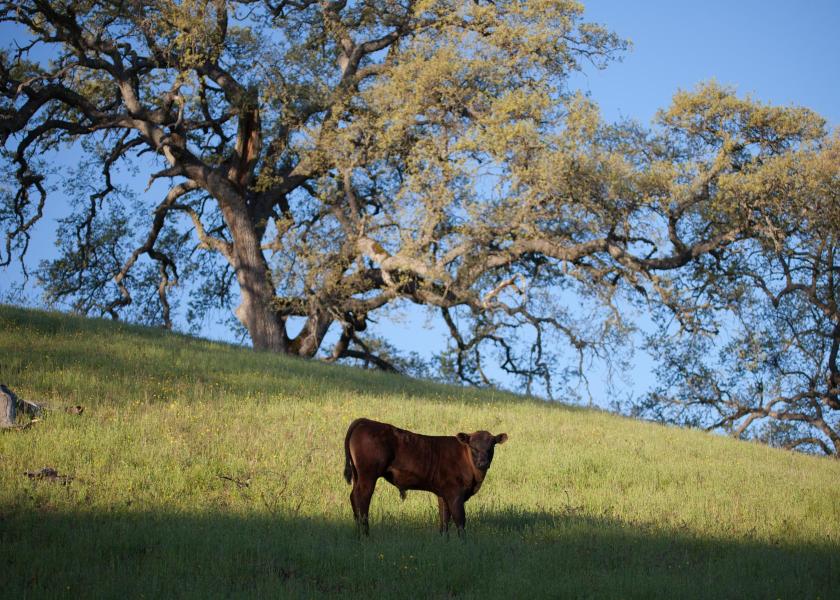Rana Creek Ranch
