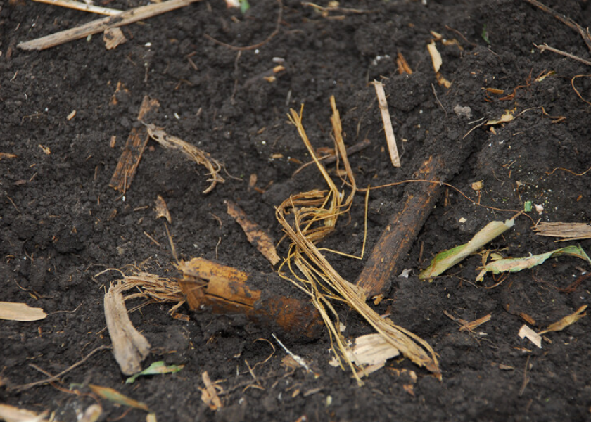 Reducing crop residue in the spring enables soils to warm up faster.