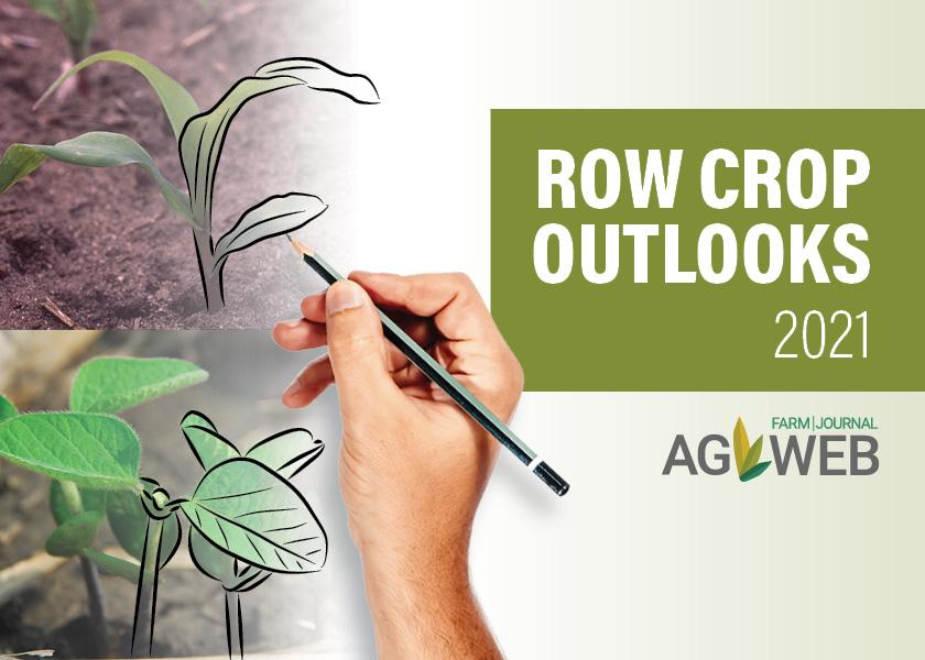 Row Crop Outlooks for 2021