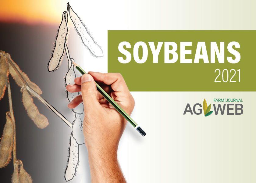 USDA predicts 89 million soybean acres in 2021. Some analysts believe that number could go even higher.