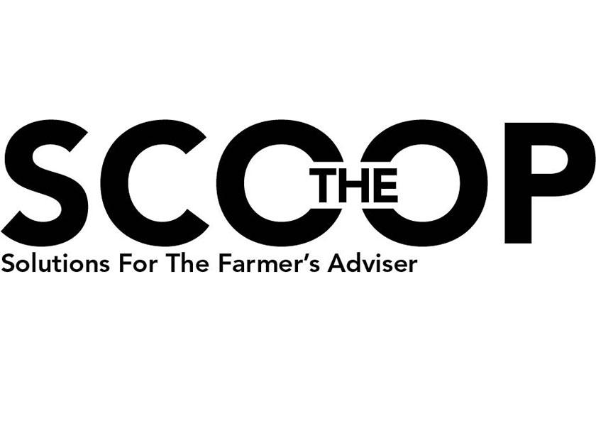 The Scoop Logo