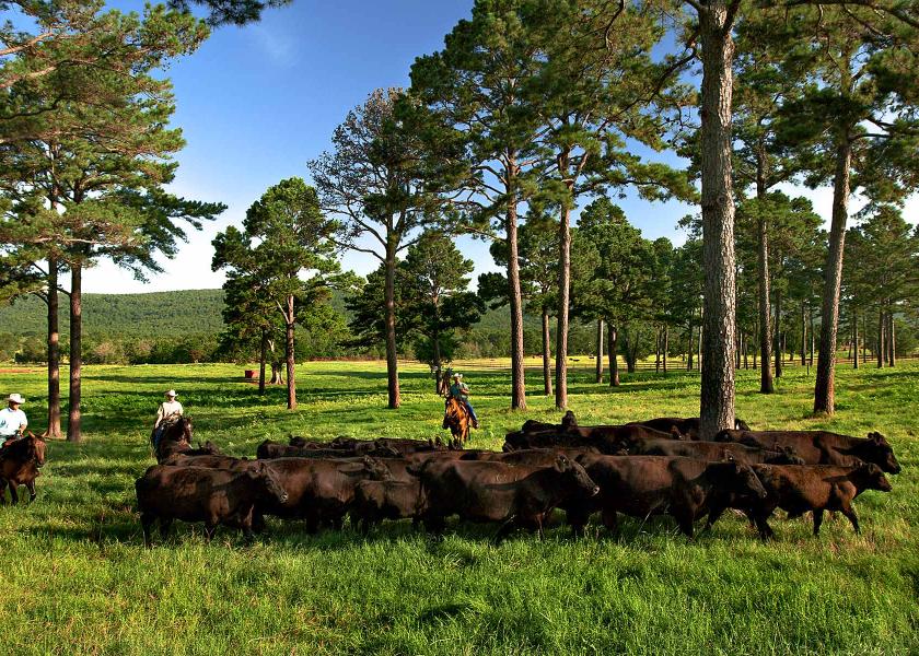 KiamichiLink Ranch, Oklahoma