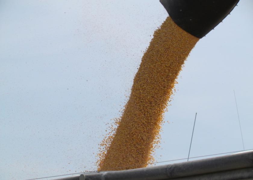 Corn Prices Boosted by USDA Report Reflecting Robust Exports, Ethanol’s Rapid Recovery from COVID-19