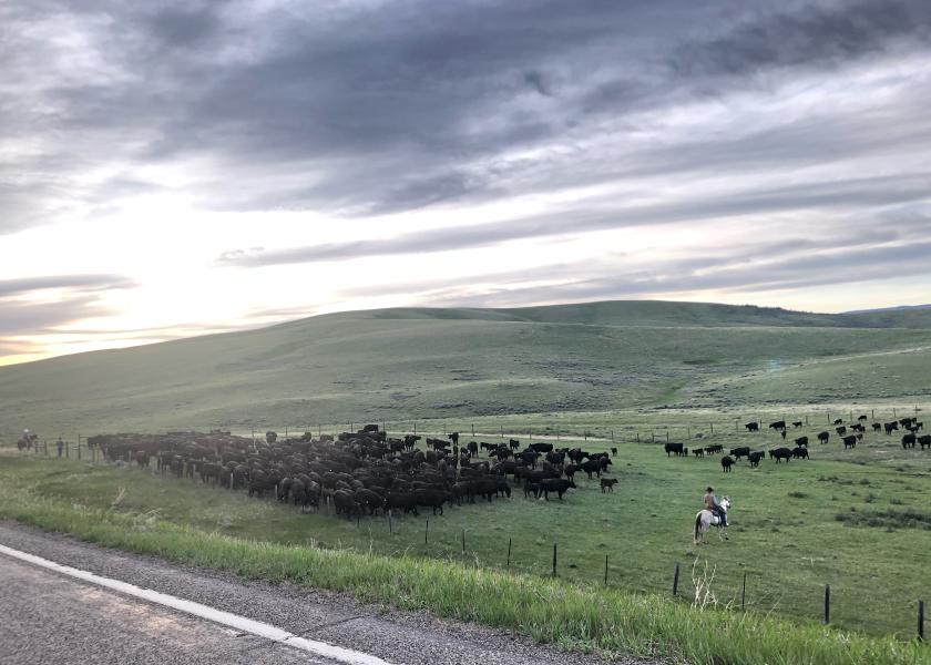 Bair Ranch, Montana