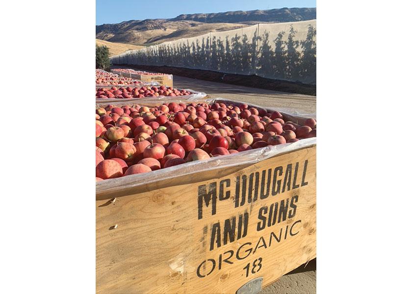 January traditionally is the biggest apple month of the year for CMI Orchards, which markets the Daisy Girl Organics brand, says Loren Foss, organic manager. “People start thinking healthy and buying healthy,” he says.
