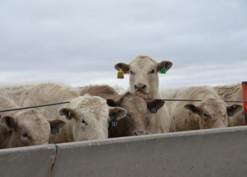 March 1 Cattle on Feed were down 4%.