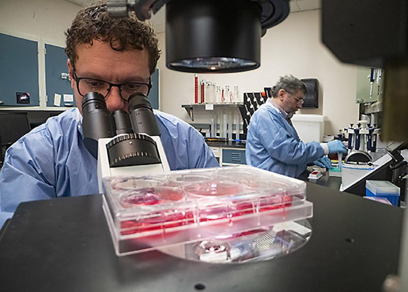 At the Plum Island Animal Disease Center in Orient Point, NY, ARS microbiologists Douglas Gladue (left) and Manuel Borca work on developing candidate vaccines against African swine fever virus, which causes a lethal disease in swine.