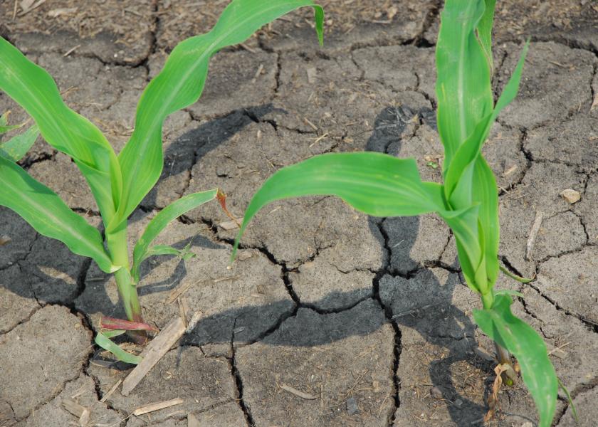 Look to see your risk for a dry start to planting season.