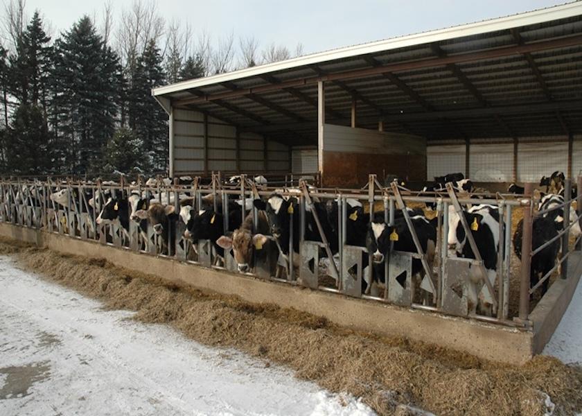 The total U.S. dairy replacement heifer herd is down about 14,000 head compared to the start of 2023. 