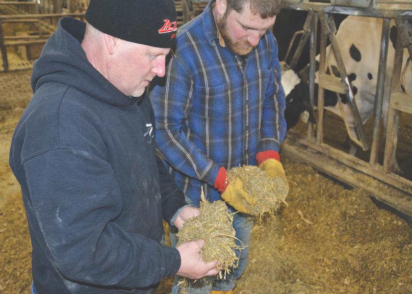 Researchers at the Ohio State recently completed a study evaluating how dietary protein and amino acid supplementation influenced milk production during the first three to four weeks of lactation.