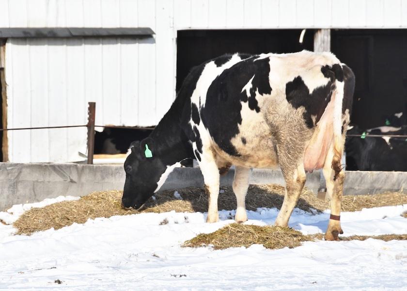 About 1% of pregnancies annually is the standard for acceptable herd-wide fetal calf loss.