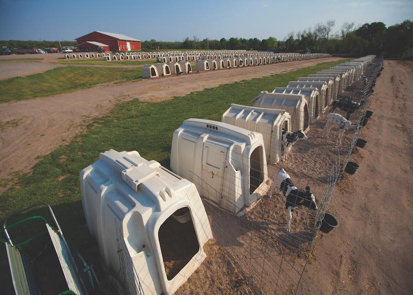 When consumers think about dairy farming, among their greatest concerns are the calves. That can be a good thing, because U.S. dairy farmers have a great story to tell about the attention to health, nutrition, and individual care they give their calves. But it also may require some flexing of rearing practices, according to bovine veterinarian and social media influencer Marissa Hake.