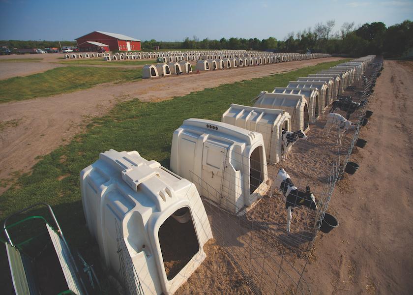 When consumers think about dairy farming, among their greatest concerns are the calves. That can be a good thing, because U.S. dairy farmers have a great story to tell about the attention to health, nutrition, and individual care they give their calves. But it also may require some flexing of rearing practices, according to bovine veterinarian and social media influencer Marissa Hake. 
