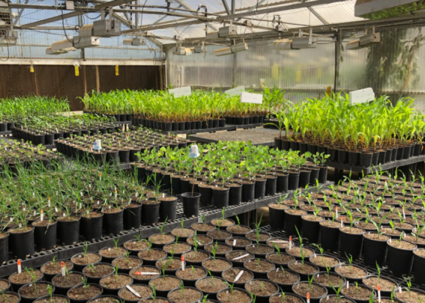 2 Well-Known Ag Companies Partner, Generate Nitrogen Fixing Microbial Products 