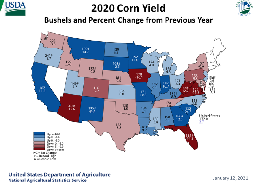 USDA’s Historic Cut to Yield Sends Corn Limit Up The Scoop