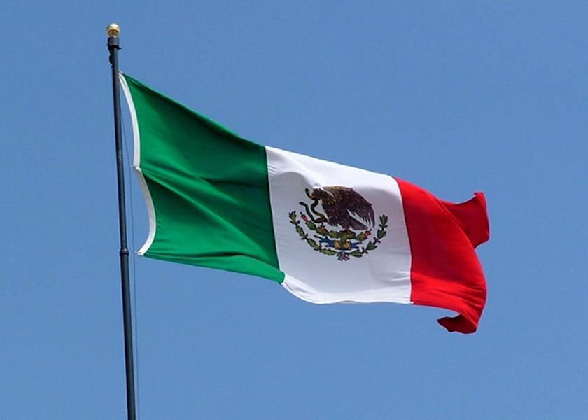  Mexican flag