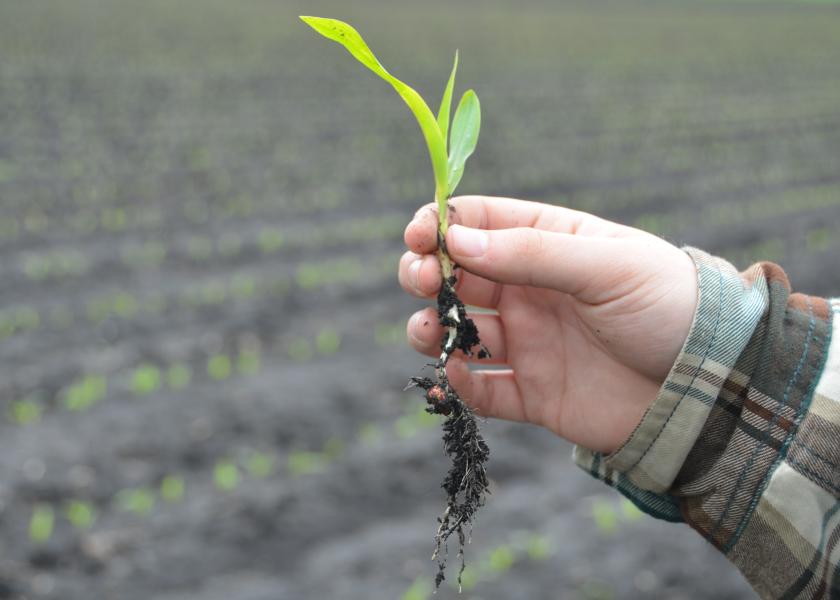 Biostimulant Council Formed As Part of The Fertilizer Institute