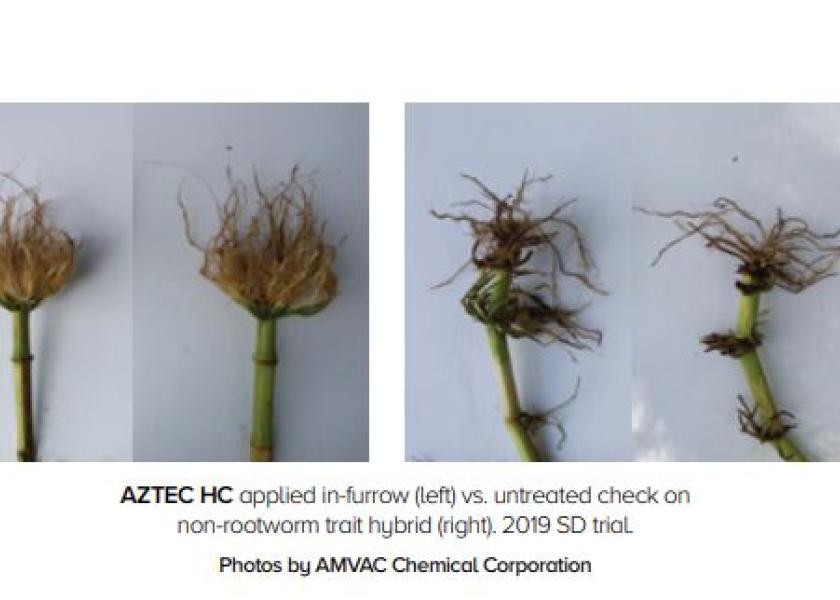 AMVAC: Don’t Skimp On Soil Insecticides