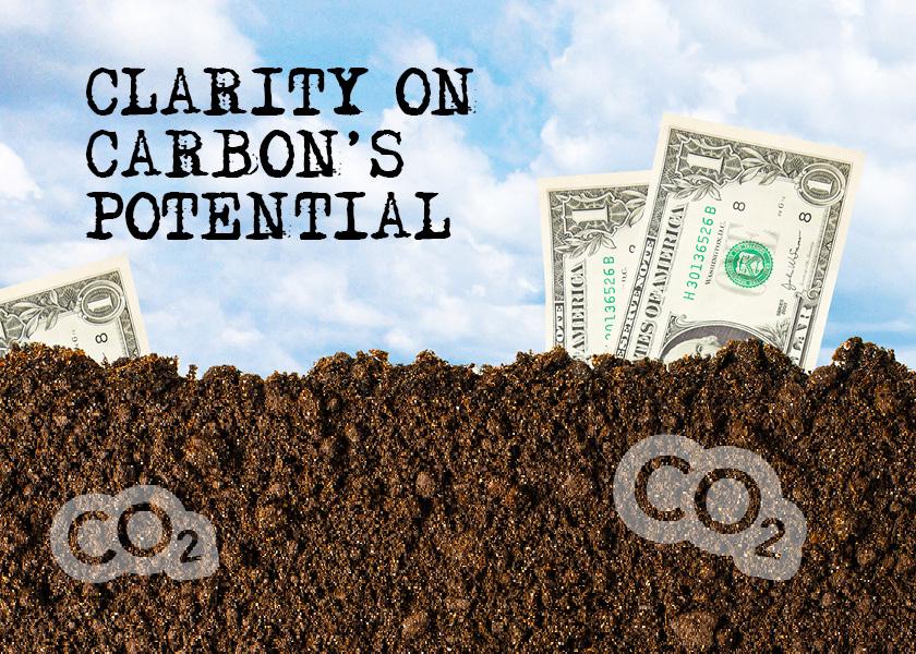 Consultants are being seen as an integral part of the technical service provider portion of any carbon trading program.