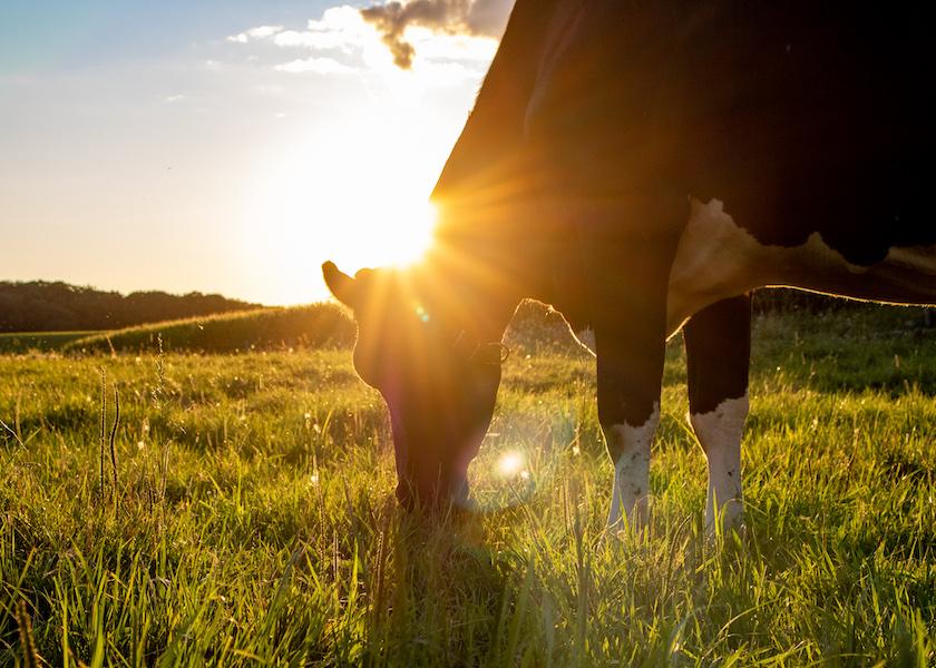 Without breakthrough technologies, new regulations could threaten New Zealand’s pasture-based dairy system.