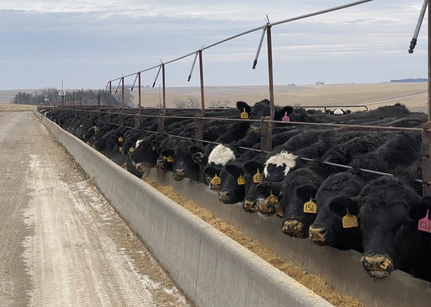 Nebraska Feedlot