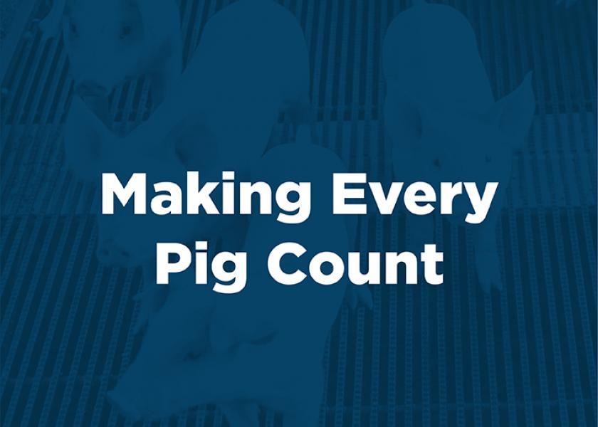 Making Every Pig Count