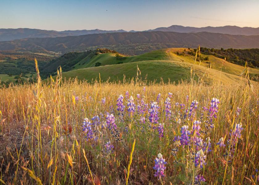 Rana Creek Ranch