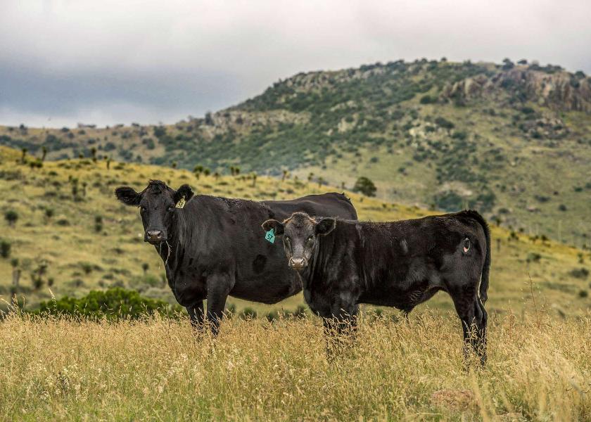 Gearhart Ranch