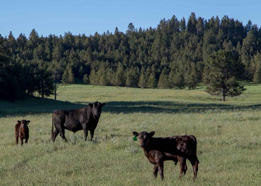 Parrot Creek Ranch