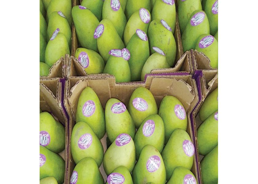 Honey/ataulfo mangoes, as well as kents and keitts, have seen significantly more demand in the past few years, says Gilmar Mello, managing partner of Amazon Produce Network, as retailers want more fiberless varieties.