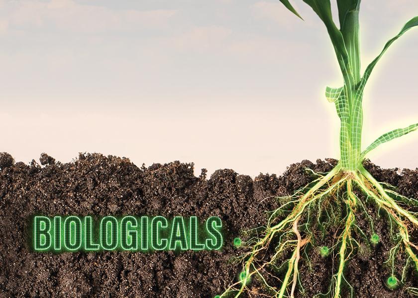 The biologicals market is expected to grow high-single digits annually through 2035 representing approximately 25% of the overall crop protection market by 2035.