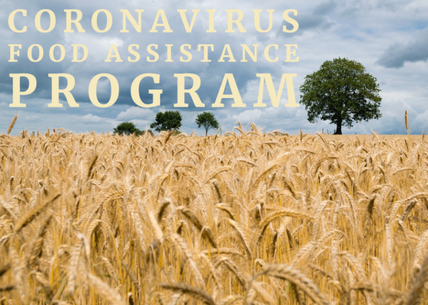 The second round of Coronavirus Food Assistance Program (CFAP 2) restarted April 5. Farmers have 60 days to either apply or make modifications to their existing CFAP 2 applications.