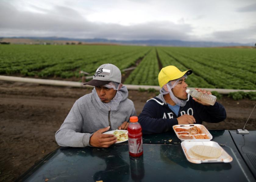 Mexican migrant farmworkers Jesus Martin Ley Lugo, 27, (R) and Rogelio Garcia Parria, 20, who both have H-2A visas, eat during a break while harvesting romaine lettuce in King City, California, U.S., April 17, 2017. REUTERS/Lucy Nicholson