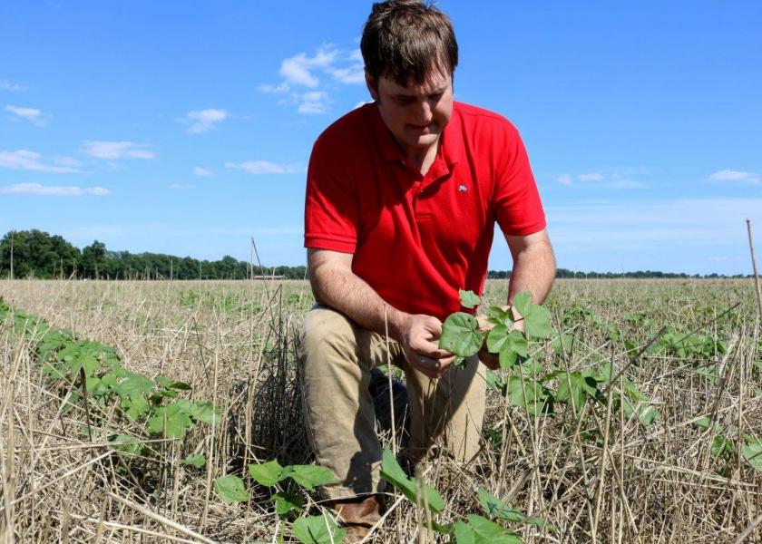 “You have to respond to the market and at the same time you don’t want to jeopardize your operation by making bad planting choices,” says Nathan Reed.