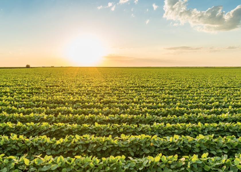 Bayer answers calls for Dicamba support with new label, updated spray