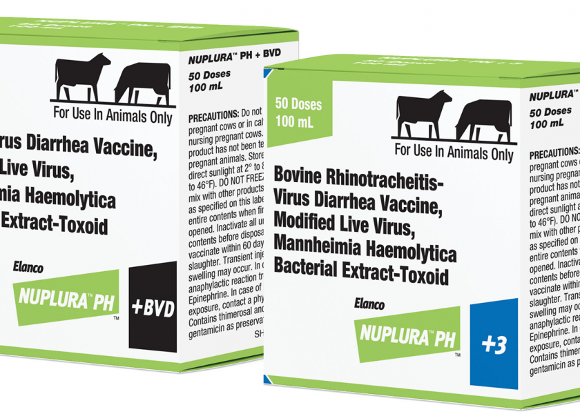 The product offers proven performance against Mannheimia haemolytica, while adding protection against common viral causes of BRD, including BVD Types 1 and 2 and IBR.