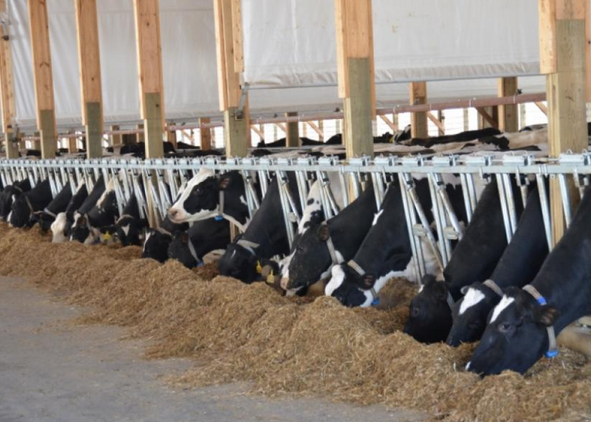 As farms exceed that 120% stocking density, milk yield or potential milk production begins to decline, and there can be health issues associated with overcrowding that negatively impact milk production.