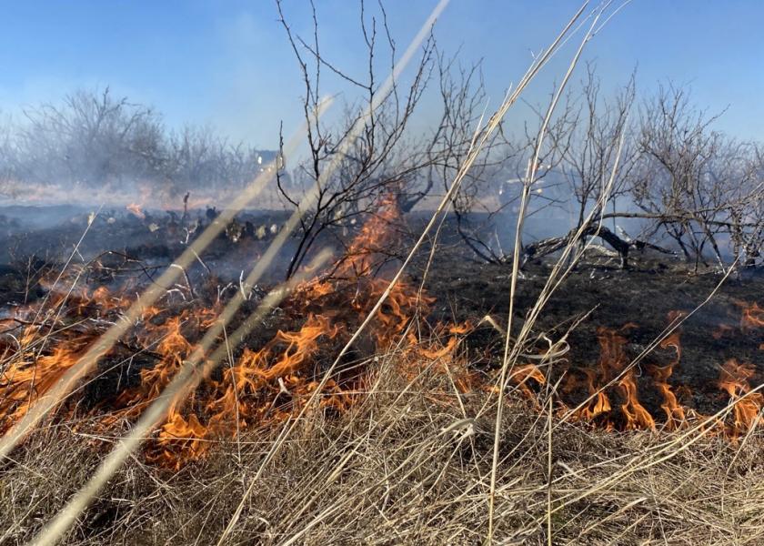 Wildfire Potential High For Texas High Plains Drovers