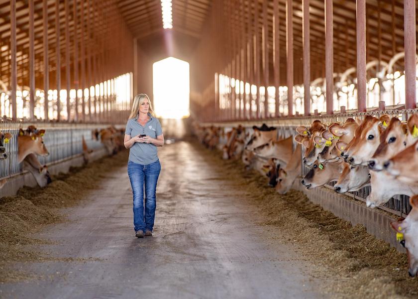When considering your options to lower your feed bill, there are some do’s and don’ts.